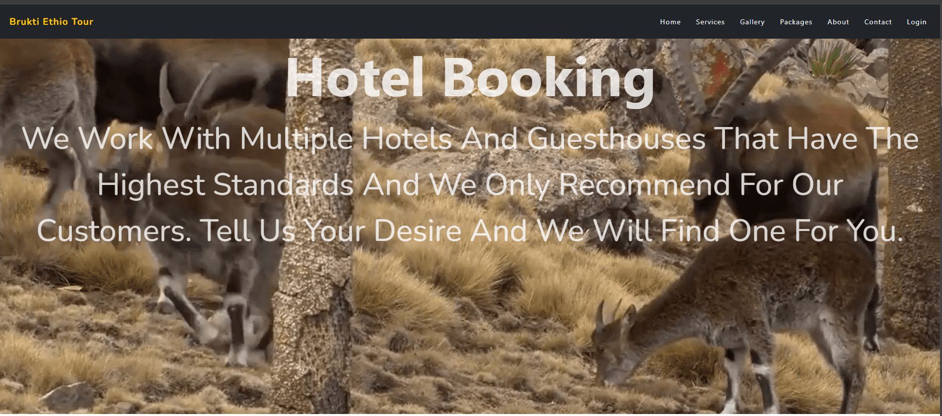 Website For Brukti Ethio Tour PLC