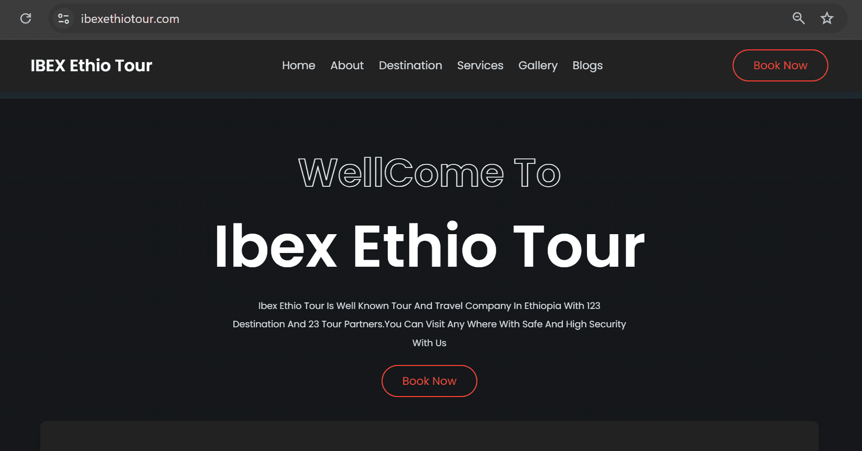 Website For IBEX Ethio Tour 